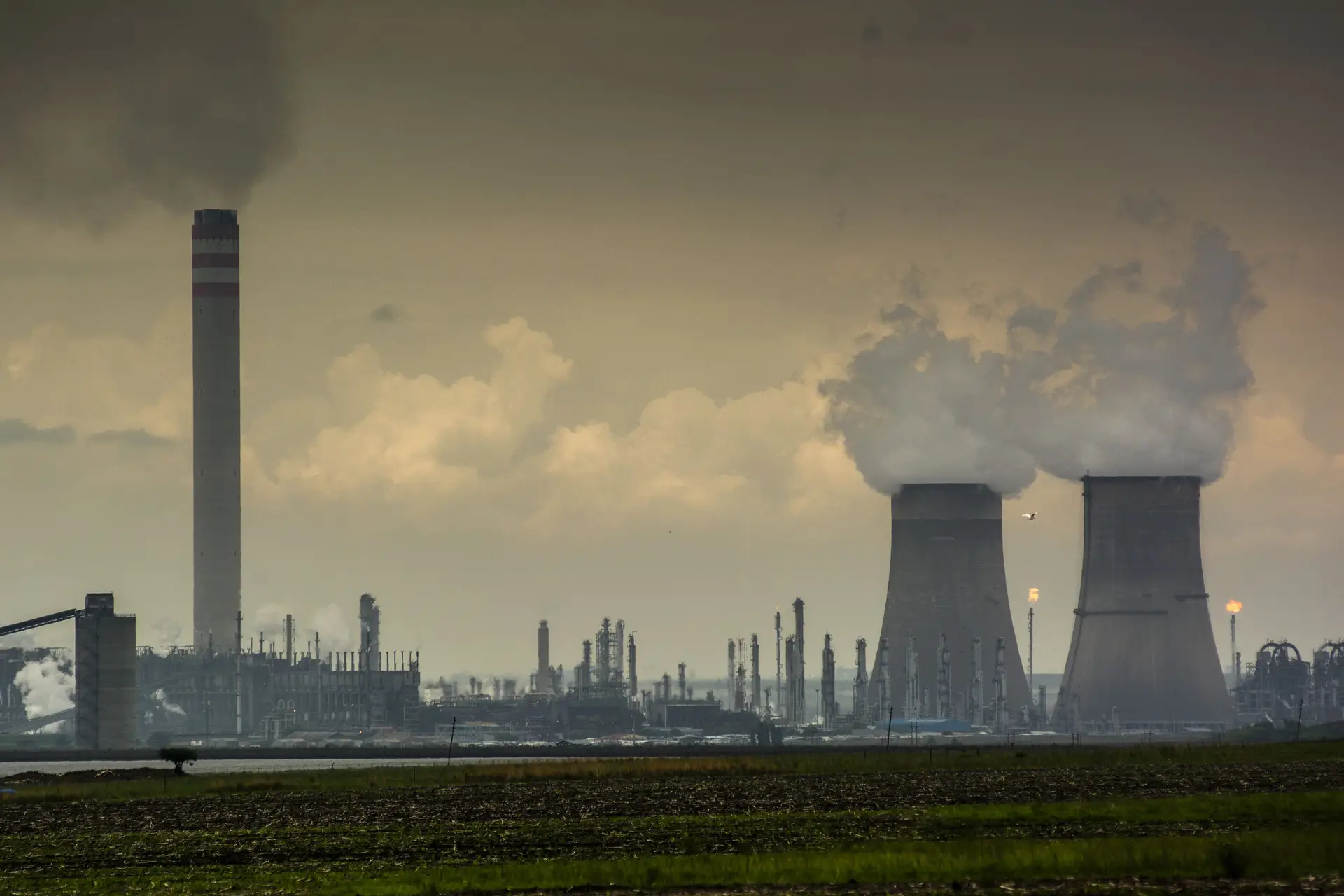 Greenpeace exige que empresas mais poluentes paguem mais impostos para proteger planeta