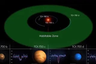 Ilustração feita pela NASA da zona habitável da estrela anã-vermelha TOI 700 e da posição dos planetas em relação a ela