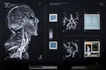 Arte urbana, os novos roteiros das cidades portuguesas em 10 etapas