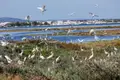Alterações climáticas sob a lupa de cientistas da ONU no Algarve
