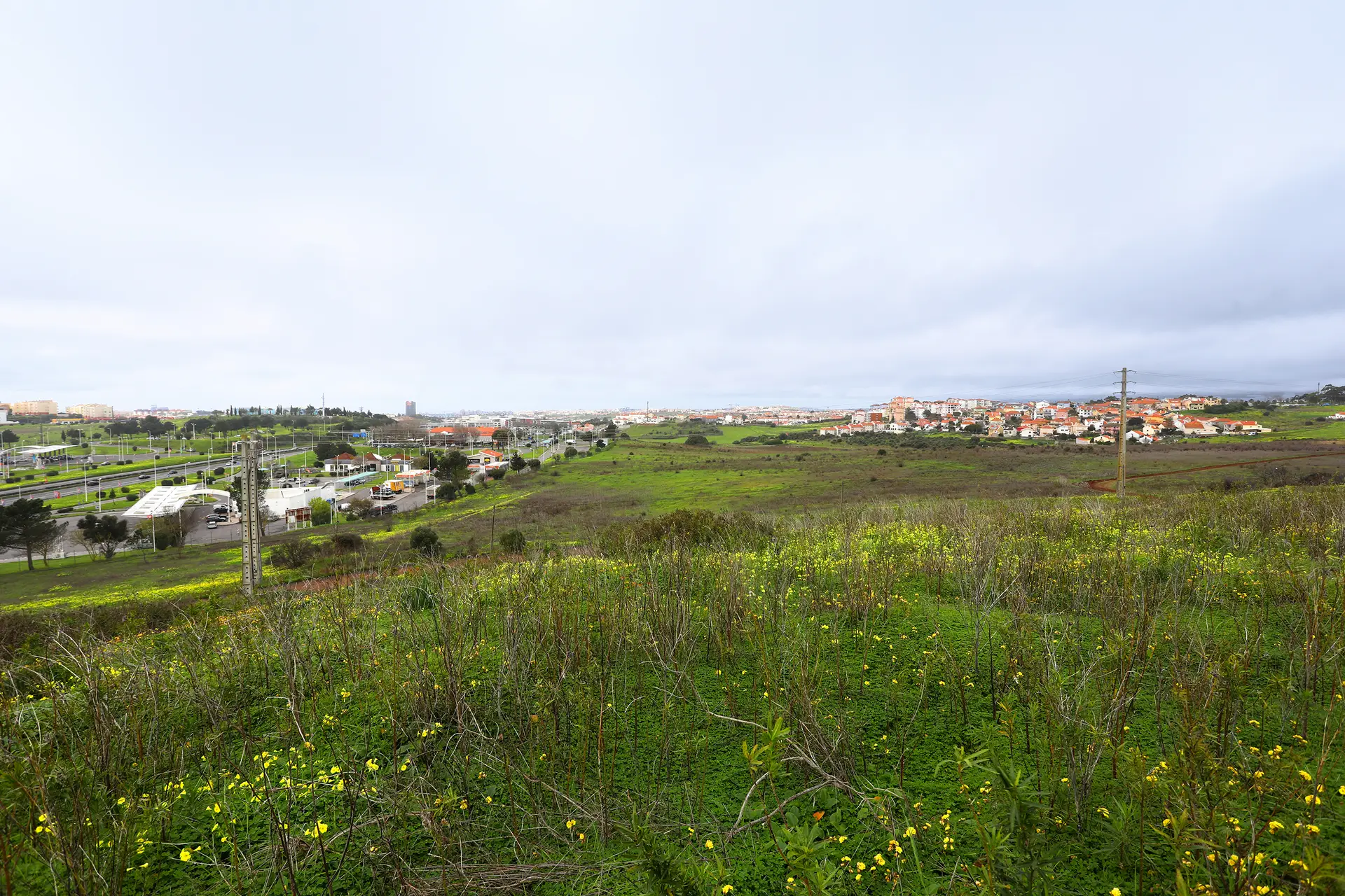Área de 35 hectares em Porto Salvo, Oeiras, será a primeira a ser desenvolvida para a instalação da primeira academia Aga Khan da Europa. Mas terreno tem outros 15 hectares