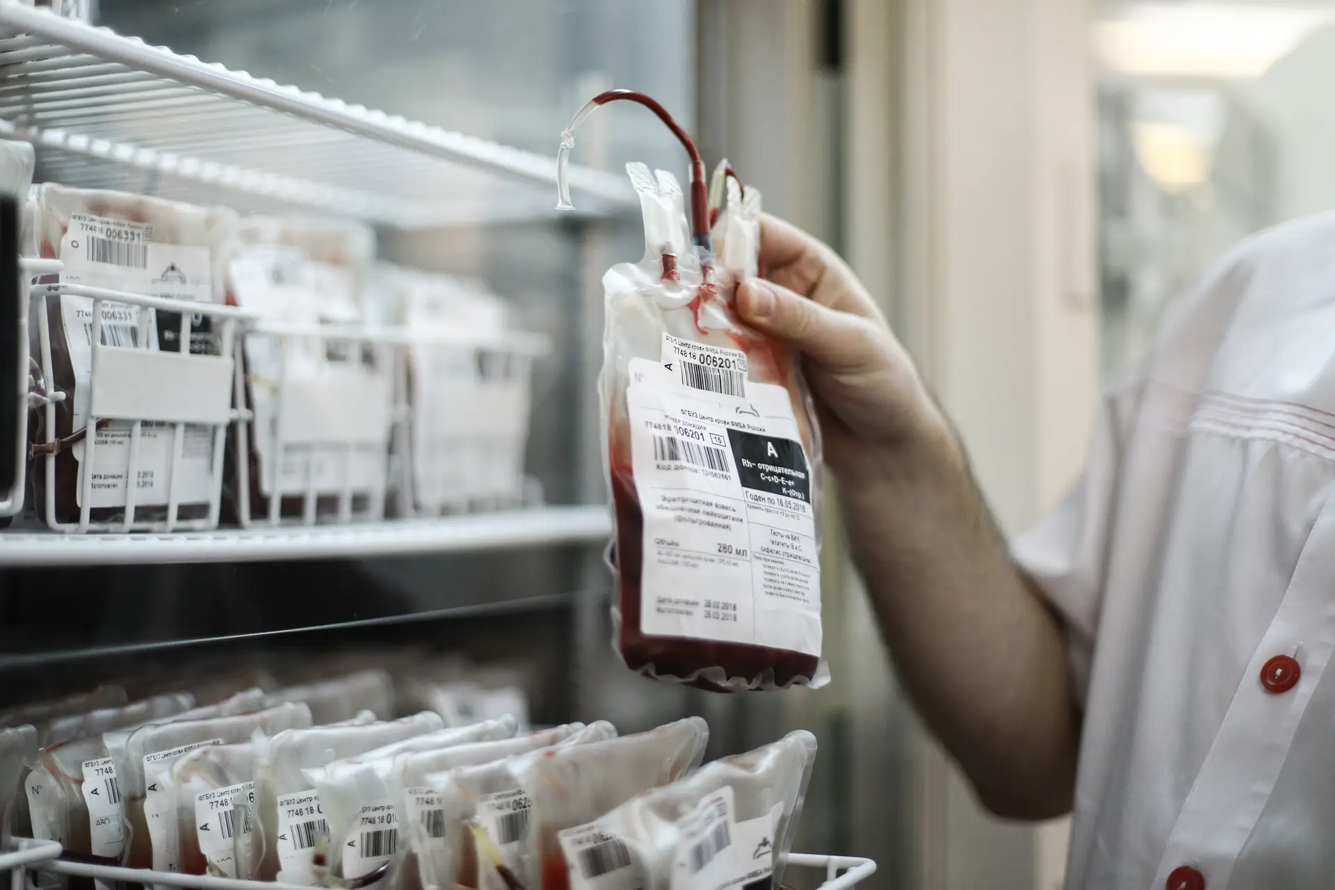 IPO do Porto apela à dádiva regular de sangue e plaquetas