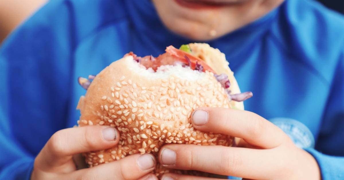 Quatro em cada dez crianças portuguesas tem excesso de peso: quase metade consome regularmente fast food e ultraprocessados