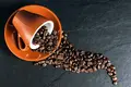 AICC: há mais de quatro décadas a promover o café português
