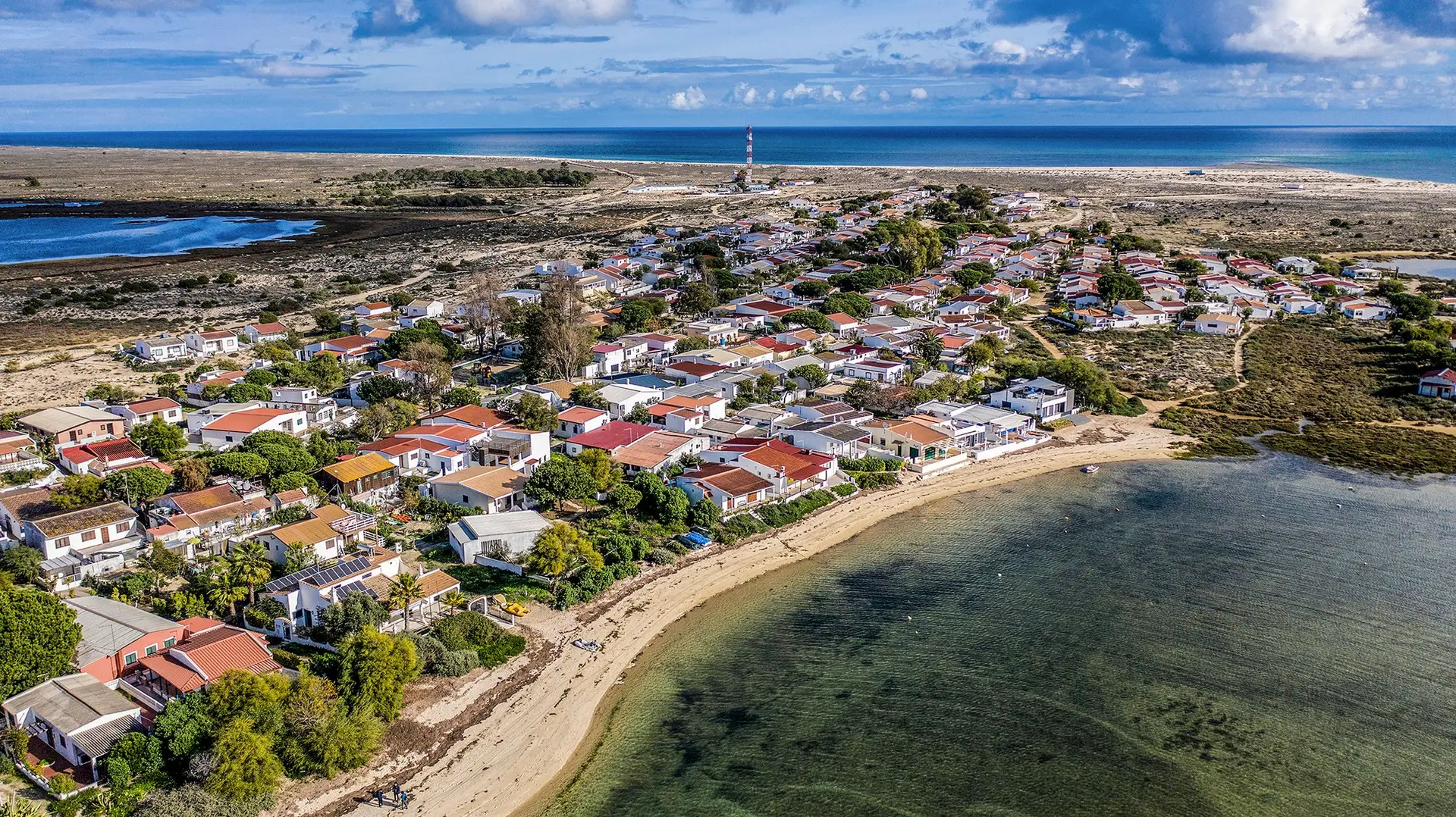 "Carbono Azul": Gulbenkian quer incentivar empresas a investir nos sapais e pradarias marinhas para compensar emissões poluentes