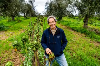  <span class="arranque">Pioneiro</span> Alfredo Cunhal Sendim é a figura de proa da Herdade do Freixo do Meio. Foi ele que se aventurou na recuperação do montado