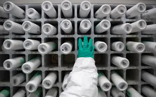 Covid-19 e gripe. O que une e separa os dois vírus?