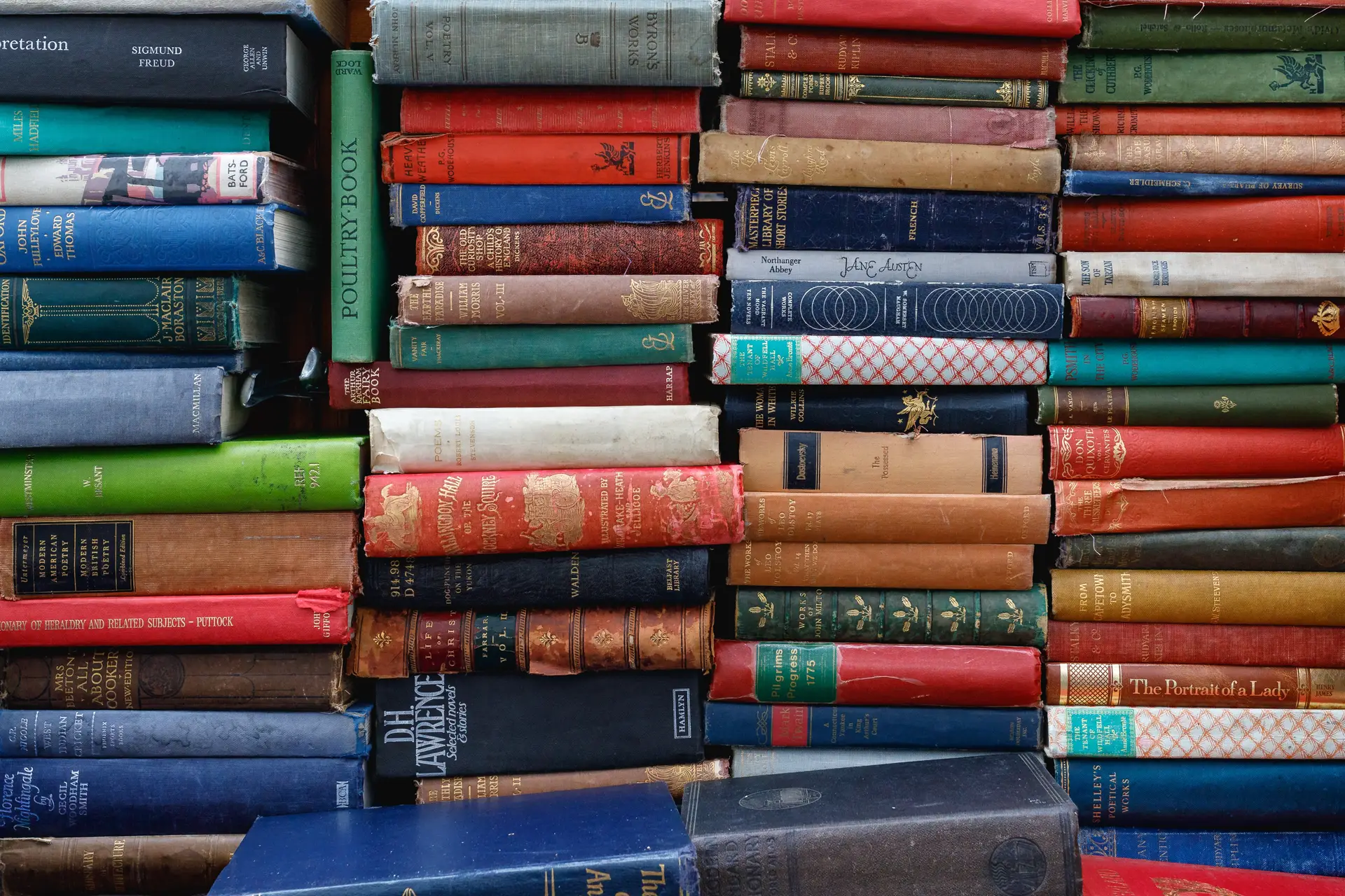"Bode inspiratório": Escritores juntam-se para escrever folhetim durante isolamento