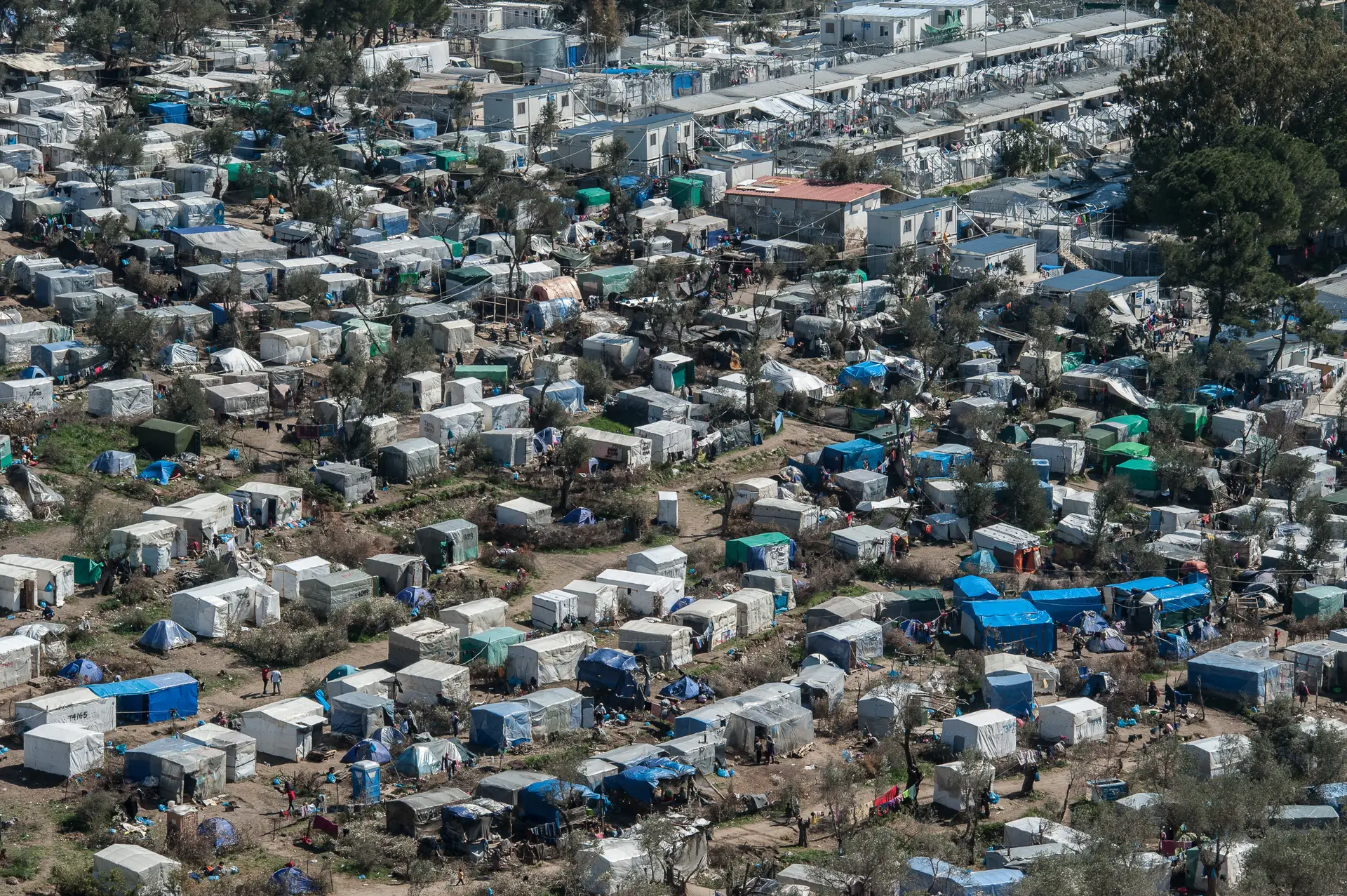 Covid-19. Grupo de eurodeputados exige evacuação do campo de Lesbos para evitar “catástrofe em toda a Europa”