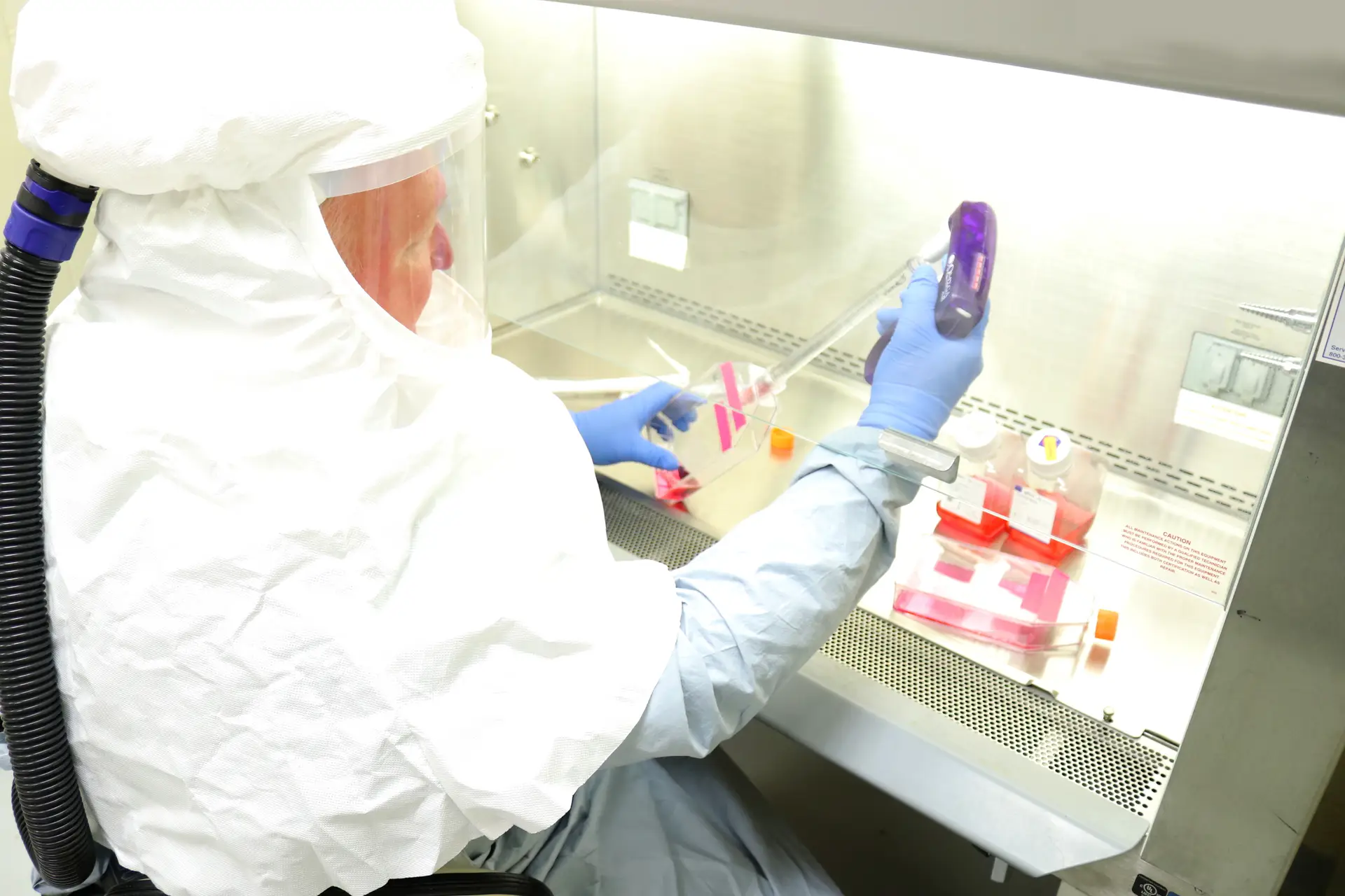 Covid-19. Testes em humanos para mais uma vacina arrancam dentro de um mês no Reino Unido