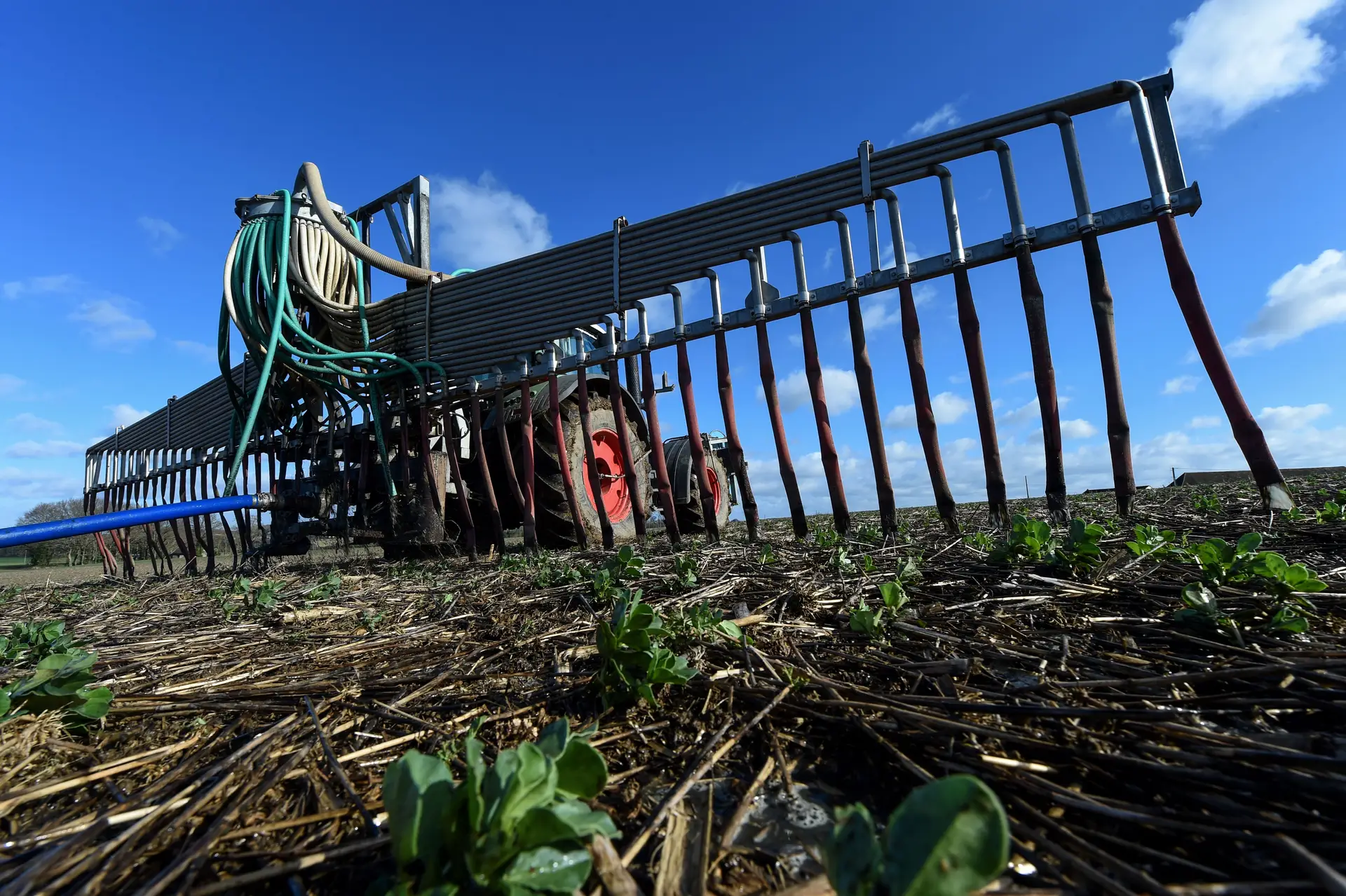 "Façamos um ato cívico, vamos para o campo": ministro da Agricultura francês sugere sector agrário para os desempregados