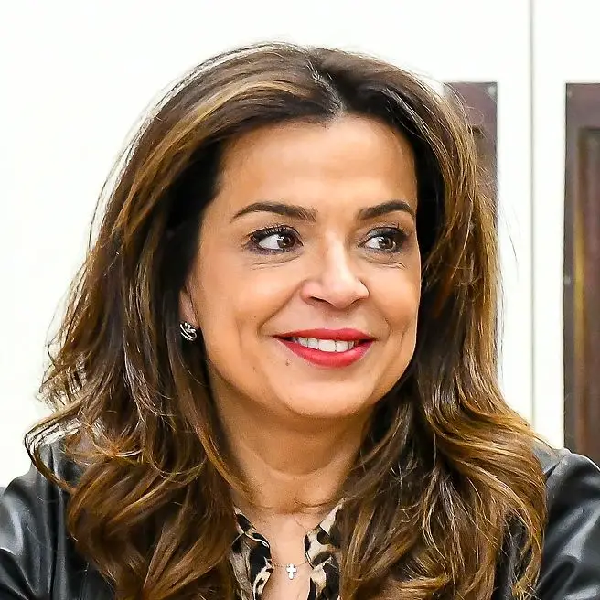 Covid-19: presidente da Câmara de Matosinhos diz que medidas do Governo vão de encontro às antecipadas no concelho - Expresso