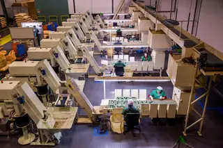 Covid-19. A minha empresa colocou-me em lay-off. E agora?