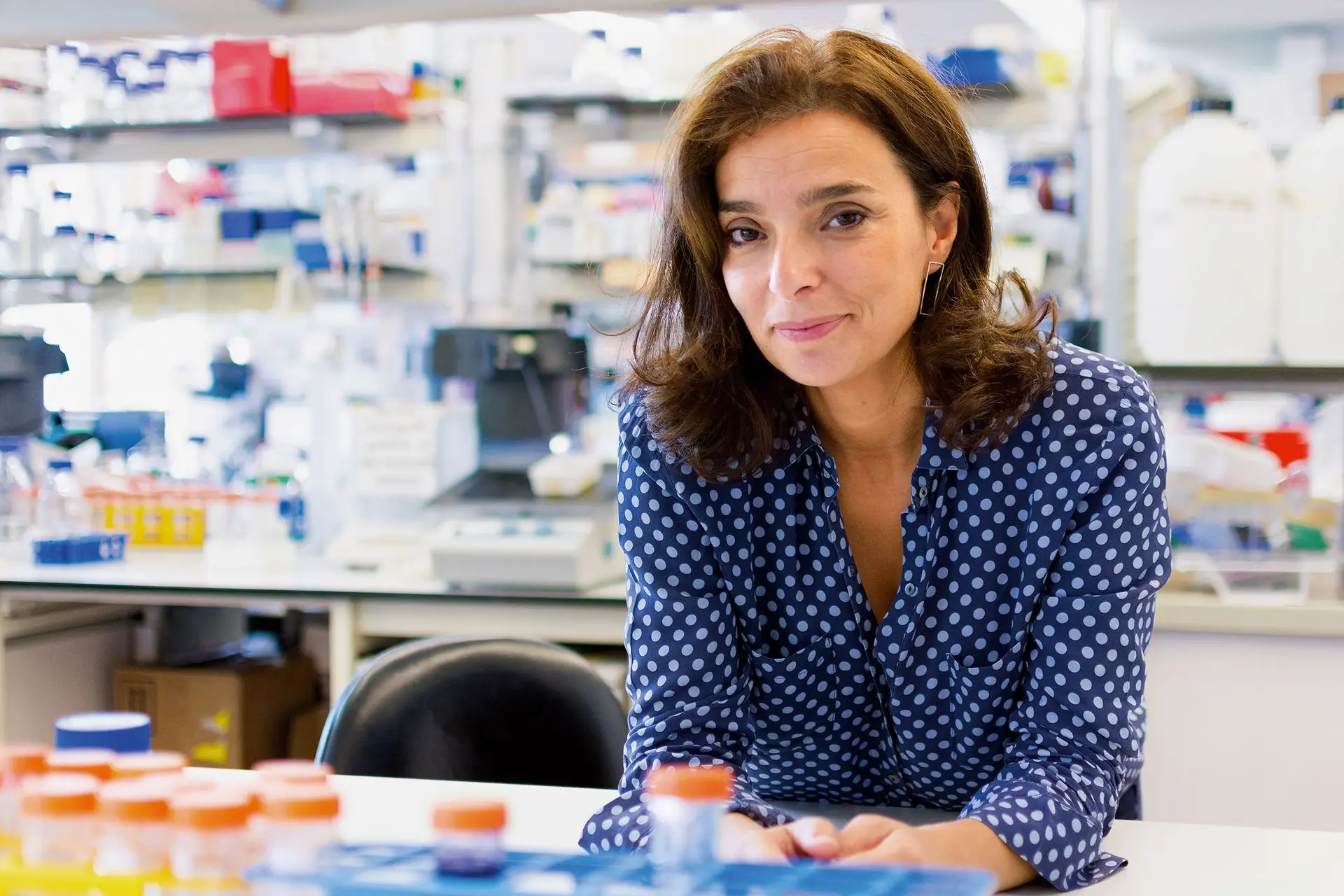 Maria Manuel Mota dirige o Instituto de Medicina Molecular