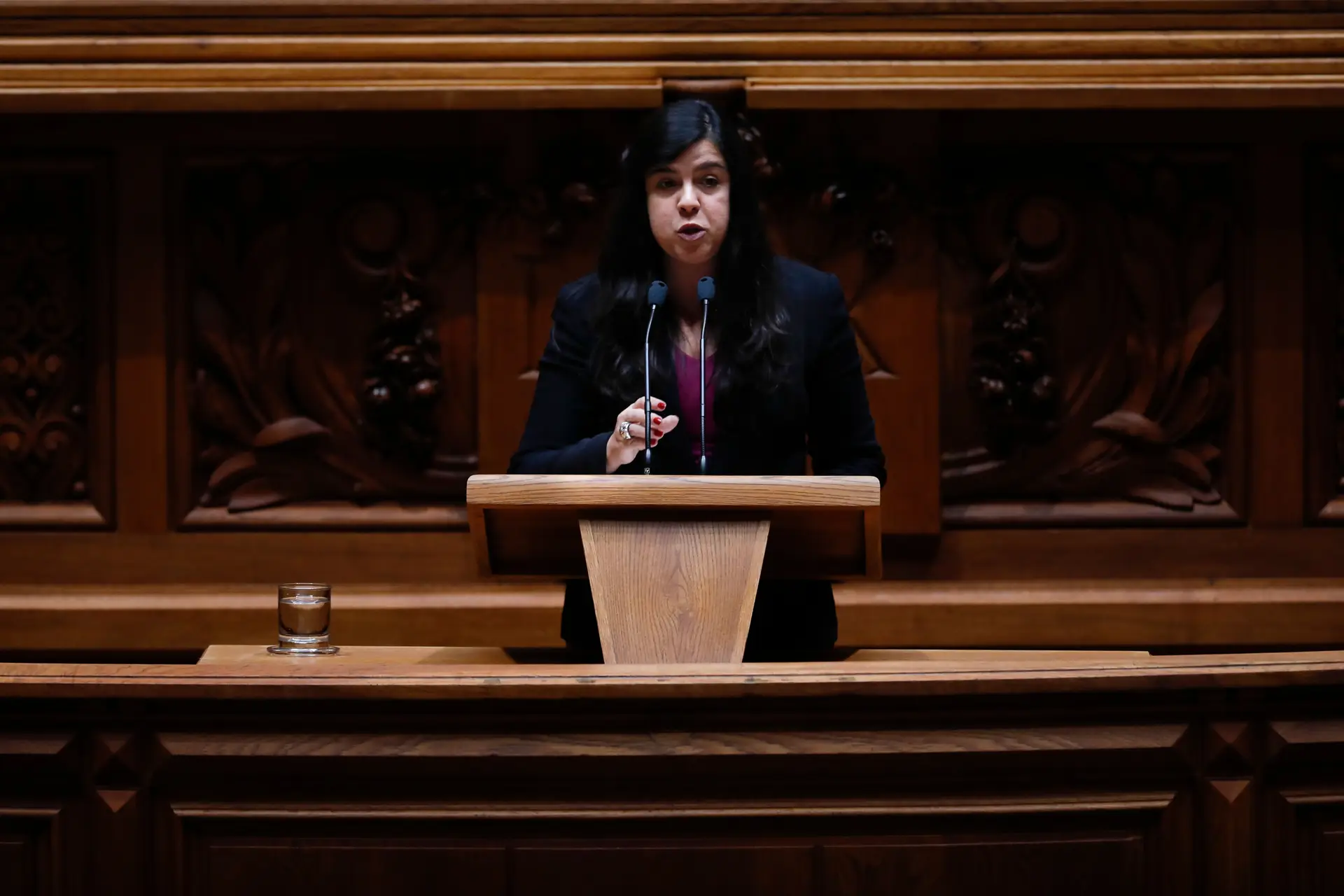 PAN lembra que Governo "não tem maioria absoluta" e terá que ter "humildade" para negociar