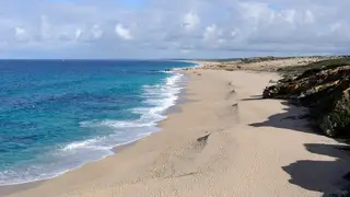 #dia 40. Depois de derrotarmos o coronavírus, vou caminhar 62 quilómetros na maior praia de Portugal