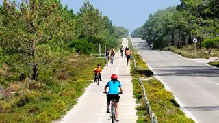 #dia 41. Depois de derrotarmos o coronavírus, vou andar de bicicleta nas ciclovias da Estrada Atlântica