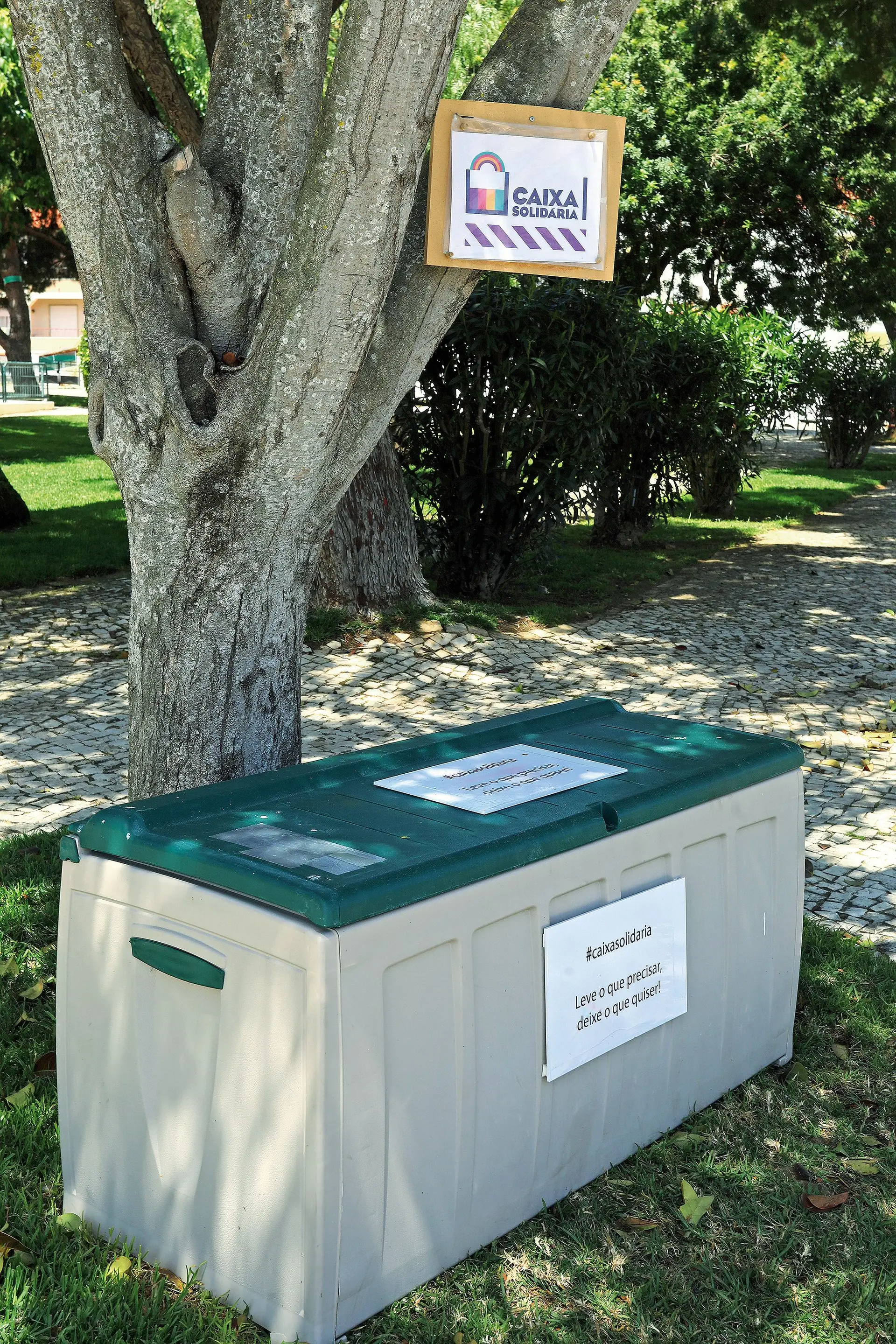 Iniciativa começou por ser divulgada no Facebook. Agora, ganha o apoio da Câmara de Cascais