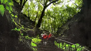 #dia 45. Depois de derrotarmos o coronavírus, vou visitar a gruta das Torres na ilha do Pico