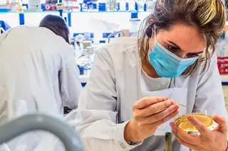 Ensino superior: Se o ano letivo está a ser diferente, o próximo também será