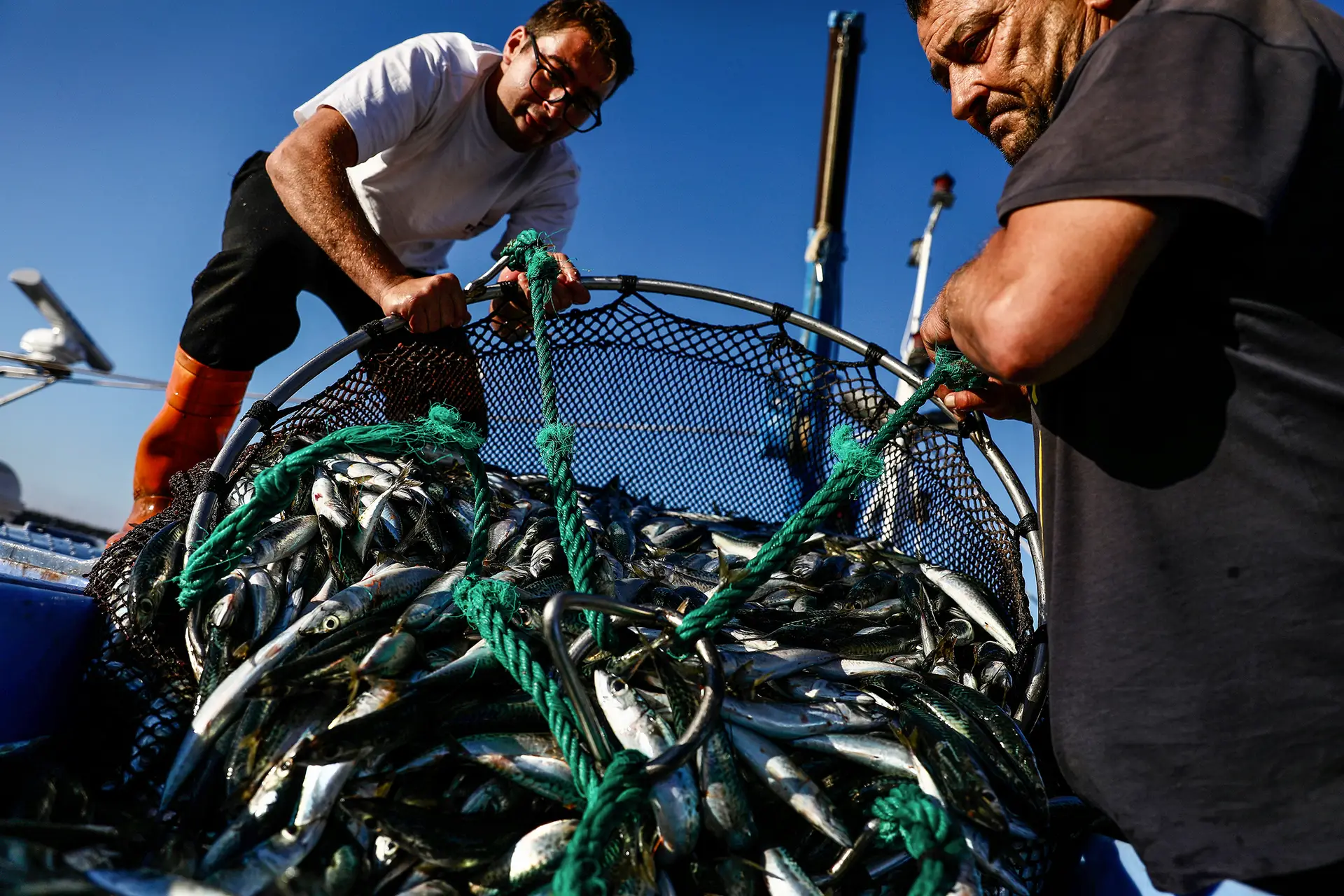 Energia: Governo alarga até 31 de agosto compensação para a pesca e aquicultura