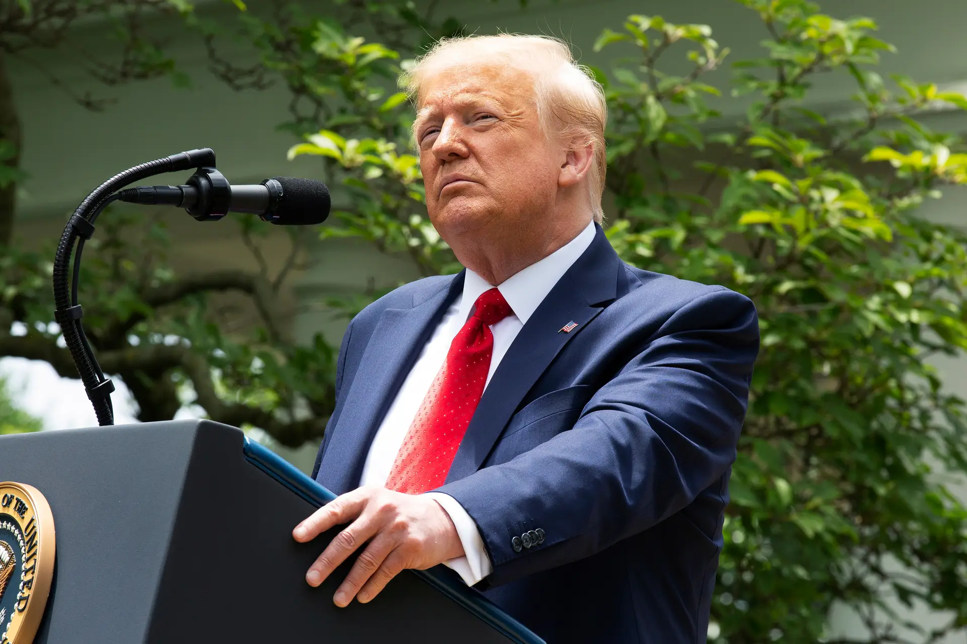 Juiz norte-americano levanta interdição de publicar livro polémico sobre Donald Trump