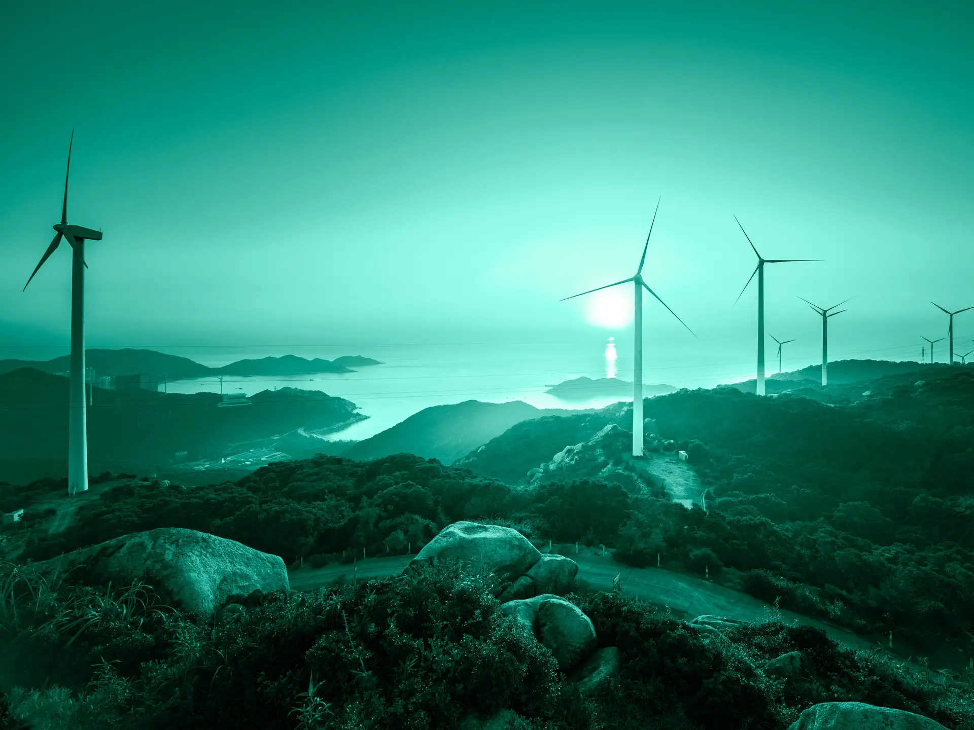 Sustentabilidade: e depois da Covid-19?