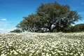 Guias “Viver Portugal” arrancam pelo Alentejo e Algarve