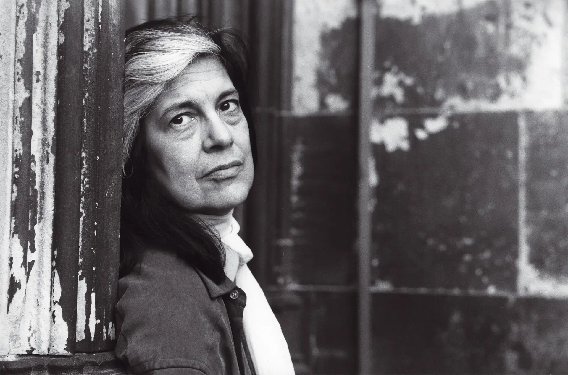 Susan Sontag em 1993