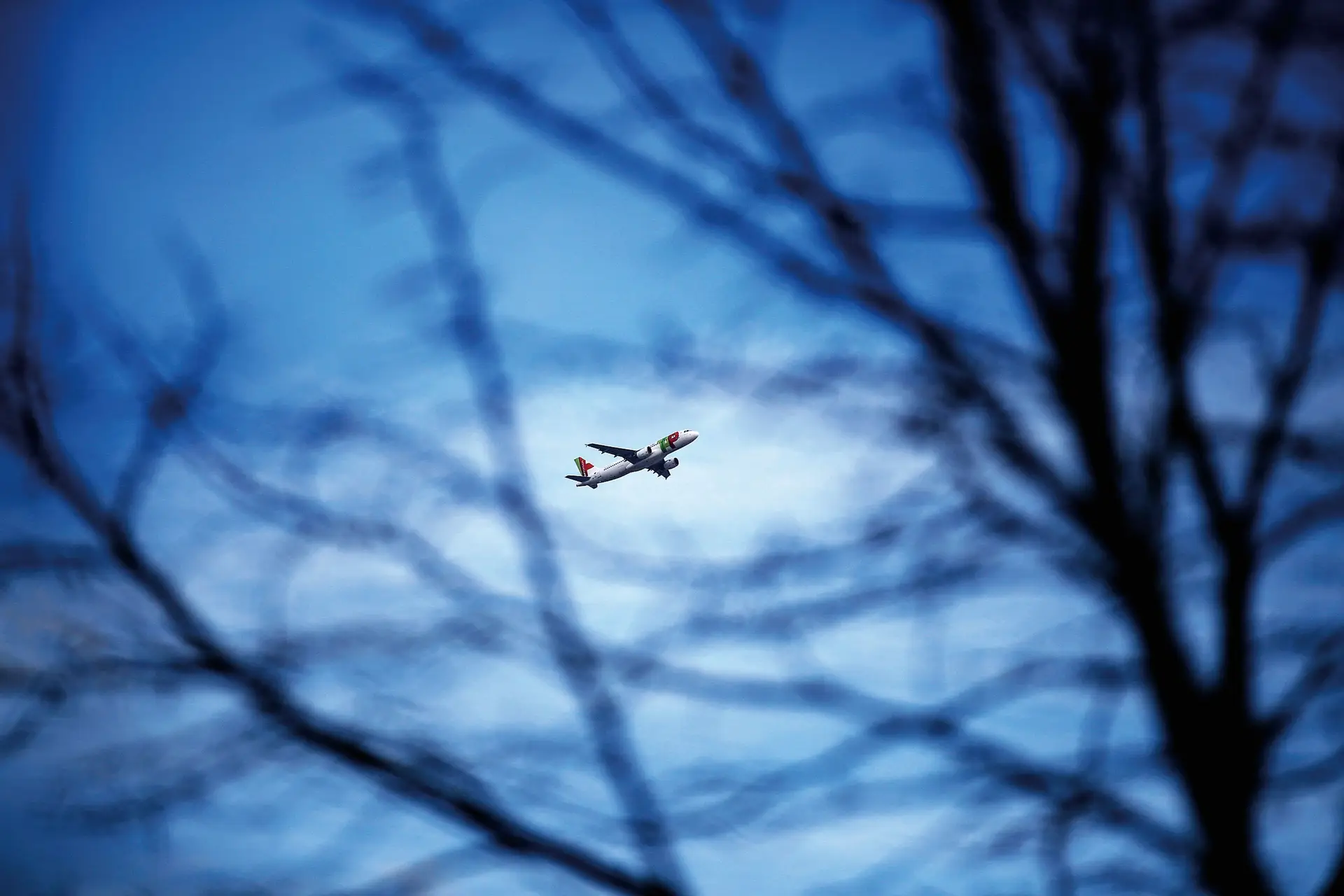 A TAP a caminho de se tornar mais pequena. Plano de reestruturação prevê menos aviões e despedimentos