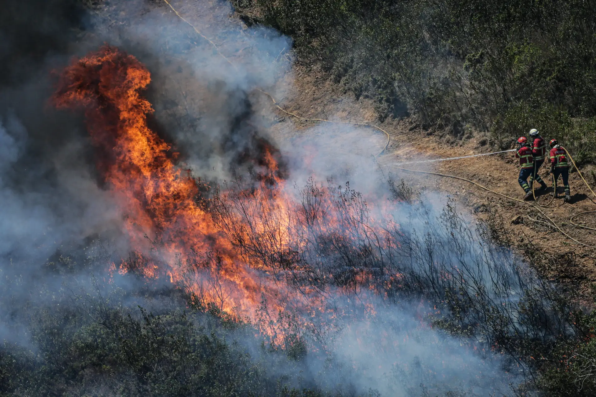 Incêndios: Nove fogos em curso mobilizam mais de 750 bombeiros e 246 viaturas