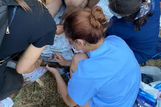 "Que a culpa não morra solteira". Autarca de Santo Tirso suspende veterinário municipal e diz colaborar com Ministério Público