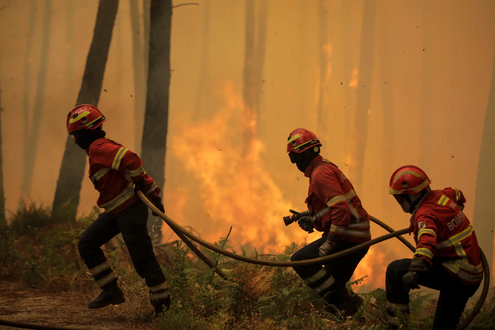 Seis fogos ativos mobilizam mais de 1100 operacionais e 377 viaturas