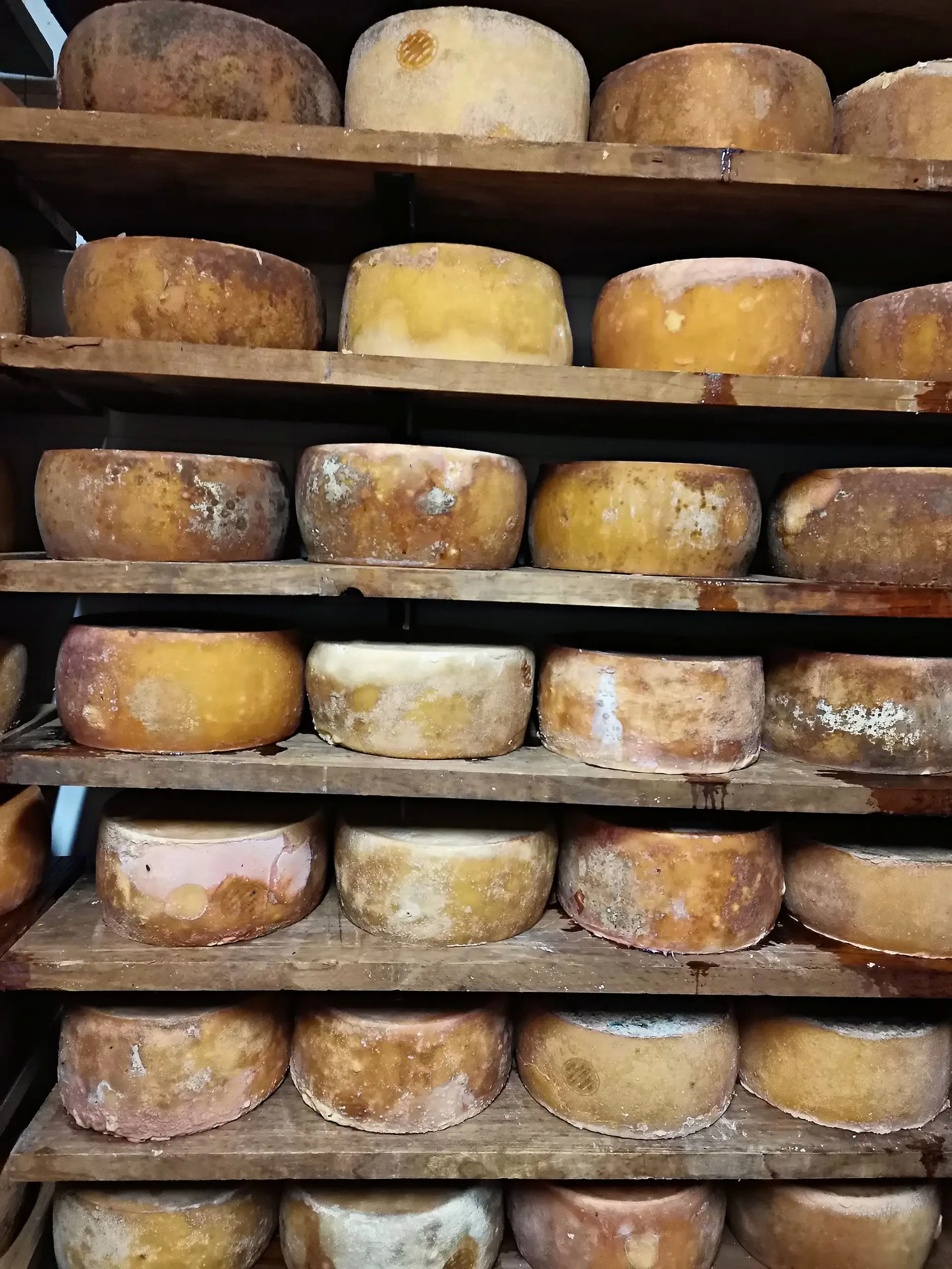 O Rei dos Queijos, no Mercado da Graça, em Ponta Delgada, começou por ser uma mercearia e é hoje uma das bandeiras dos Açores