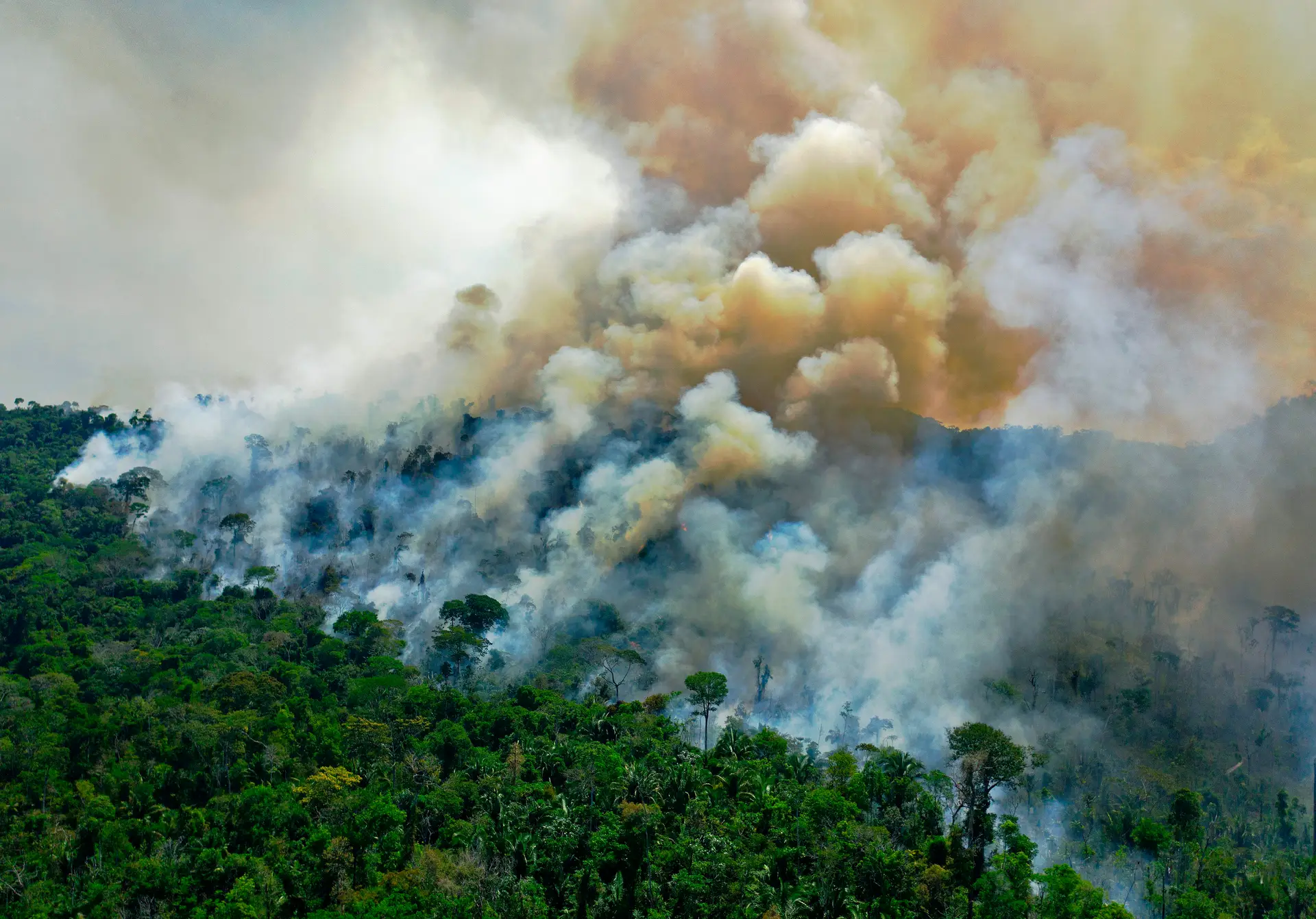 Estado brasileiro do Amazonas regista em agosto maior número de queimadas dos últimos 22 anos