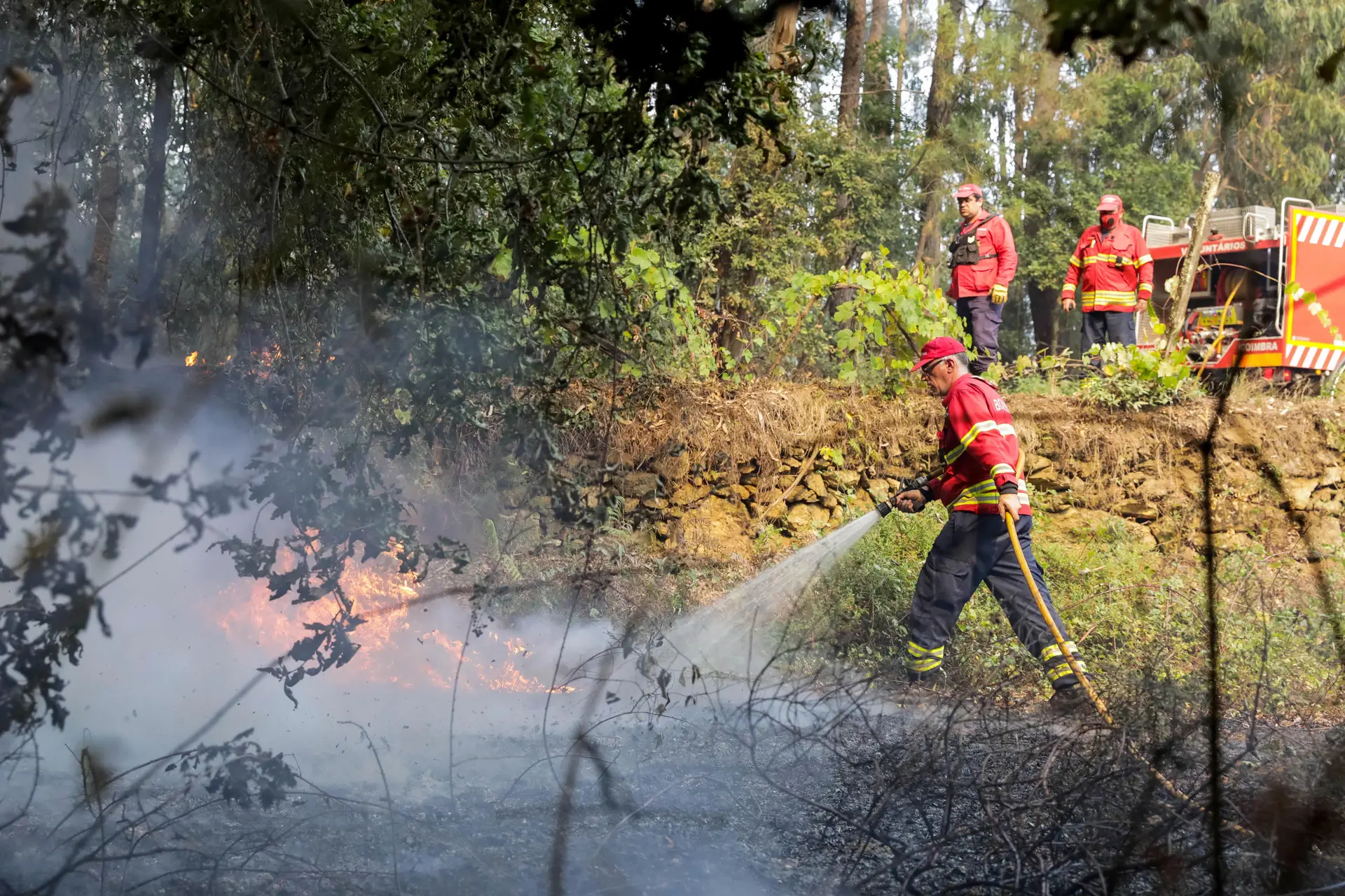 Incêndios Mais De Meia Centena De Concelhos De Nove Distritos Em Risco Máximo Expresso 8400