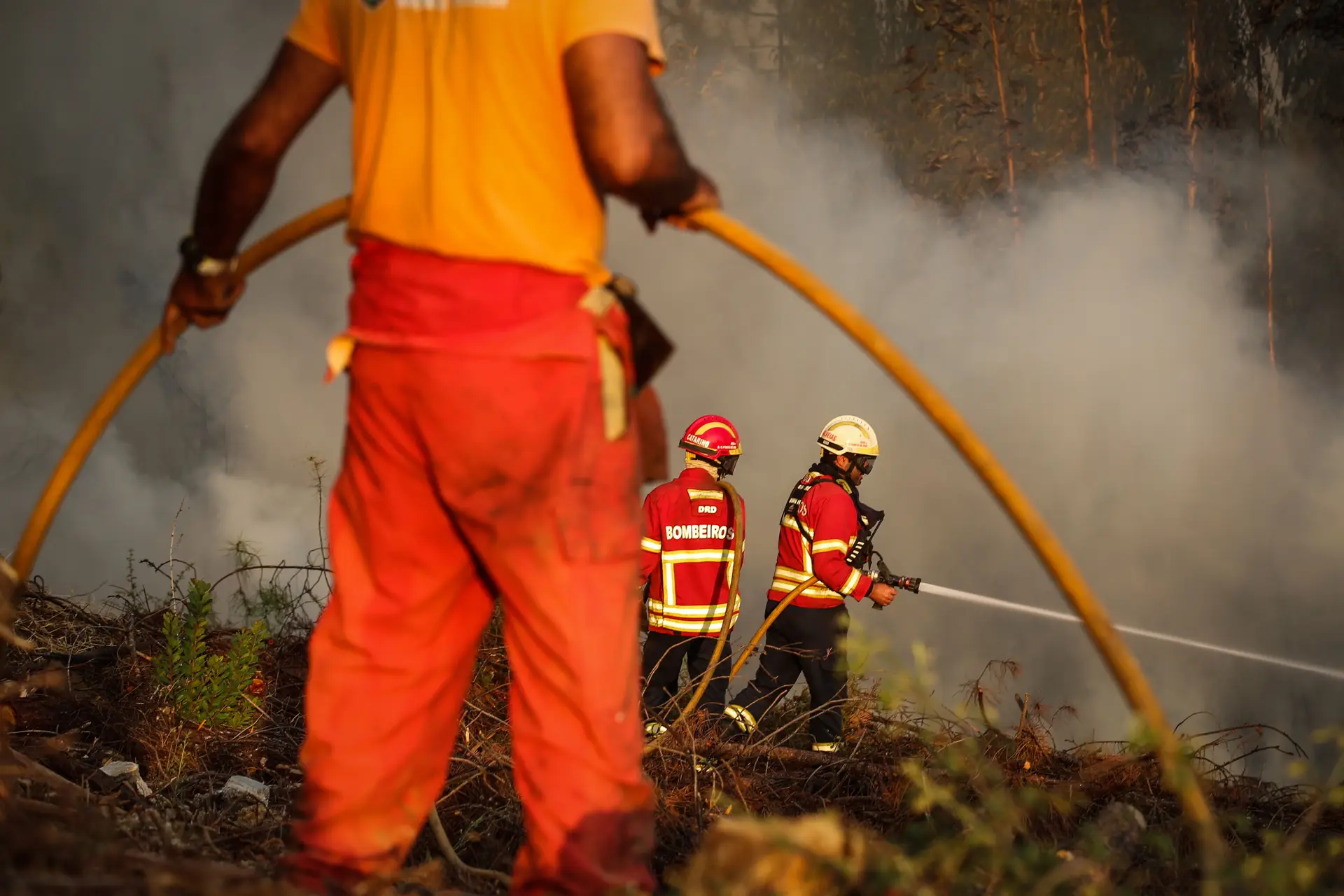 Incêndios: mais de 100 operacionais e três meios aéreos combatem fogo ...
