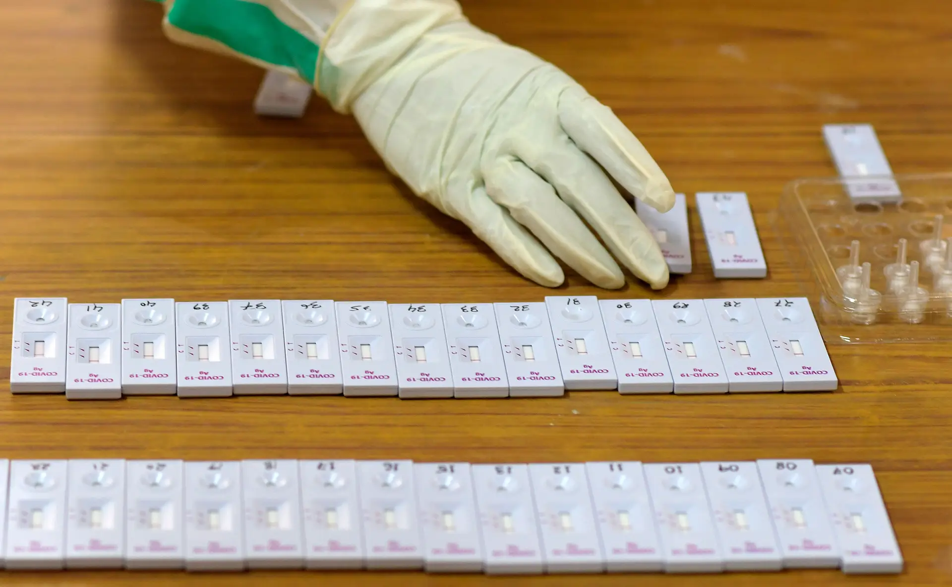 Covid-19: testes rápidos disponíveis já na próxima semana