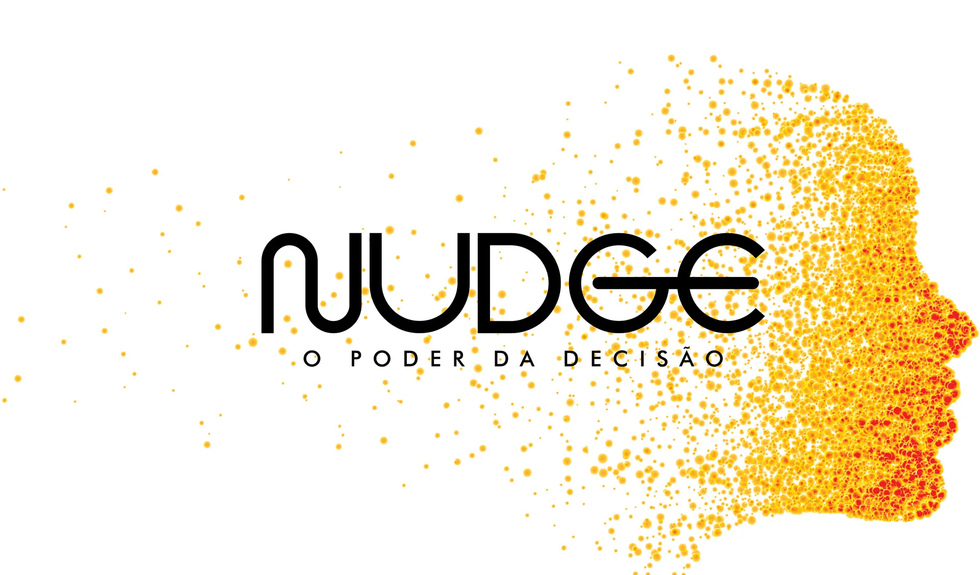 "O Nudge é um instrumento que deve ser utilizado para o bem comum", refere Paula Marques
