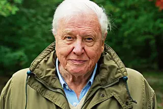 Aos 94 anos, David Attenborough não quer ver o planeta a morrer