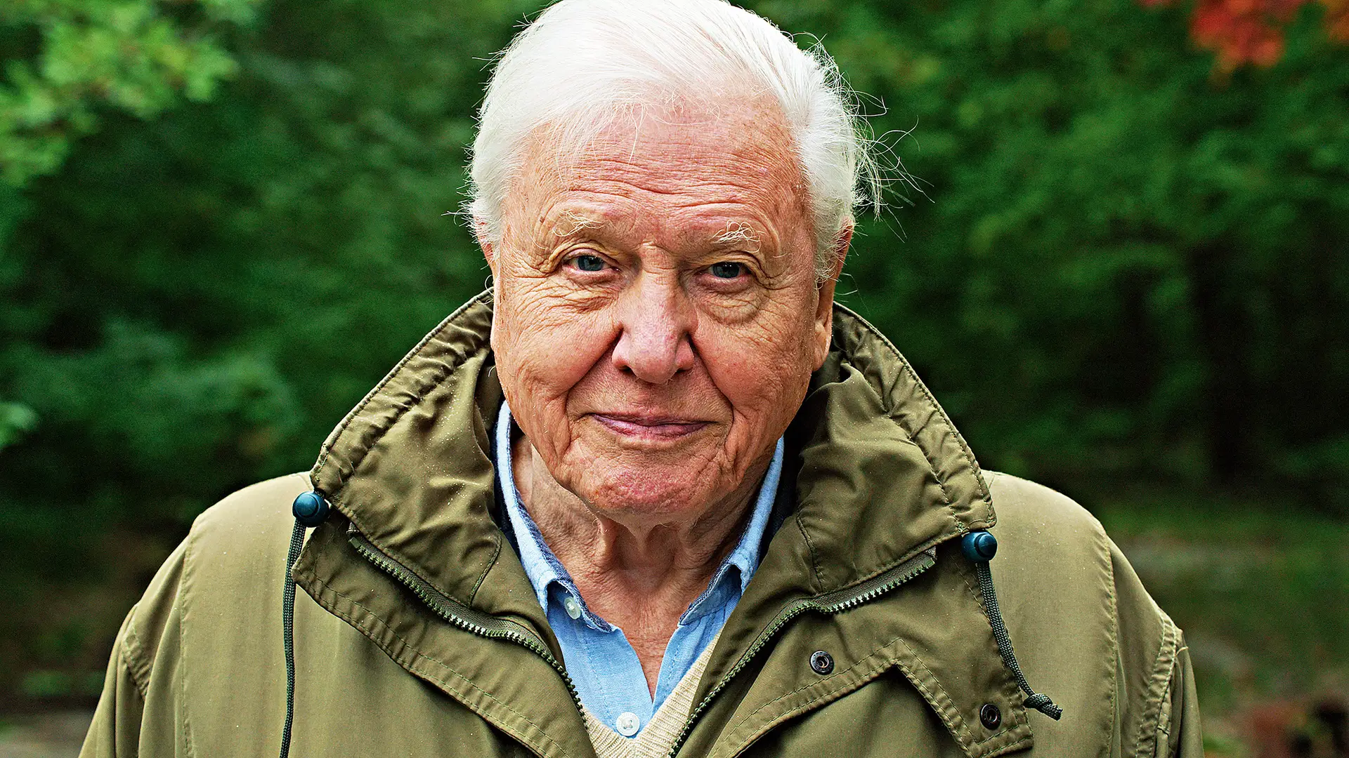 Aos 94 anos, David Attenborough não quer ver o planeta a morrer