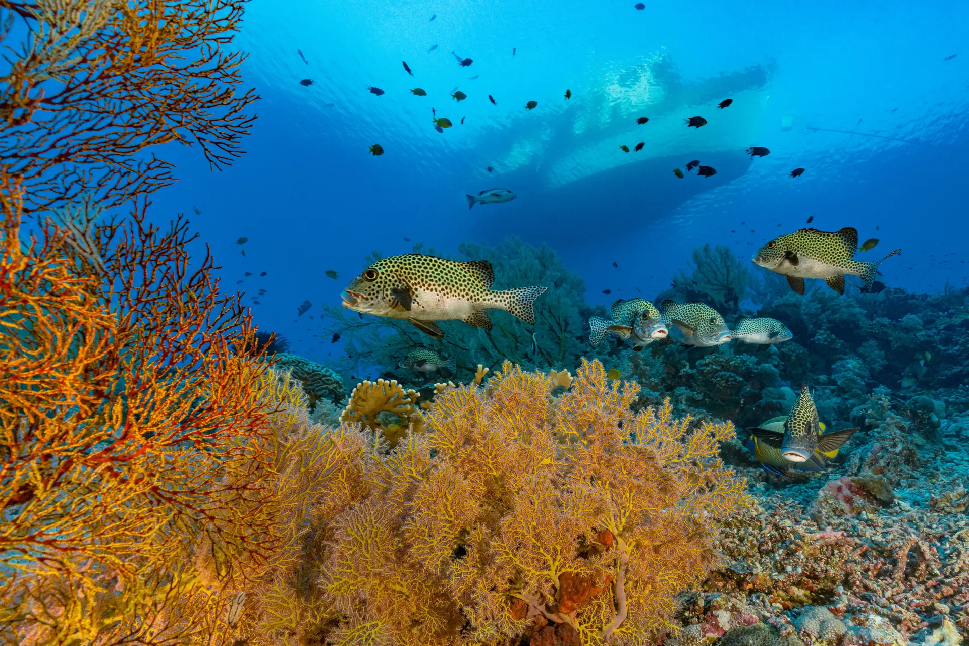 No mar podemos dividir o espaço como fazemos em terra, ao criarmos as águas territoriais, mas não podemos dividir o sistema que opera dentro da água dos oceanos, tal como o sistema que opera no espaço aéreo