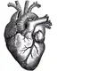 Artérias sintéticas e eletrónicas em doentes cardíacos
