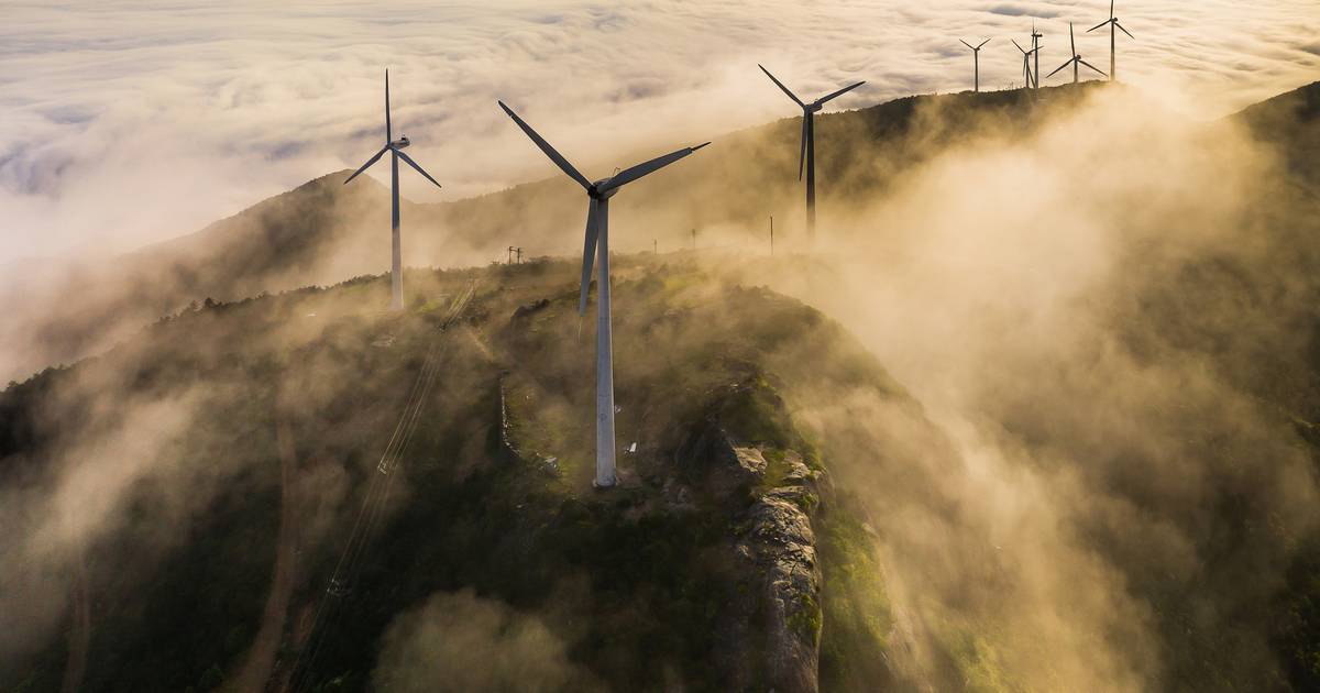 Pela “luta climática e social”: manifesto com mais de 100 subscritores pede “serviço público de energias renováveis”