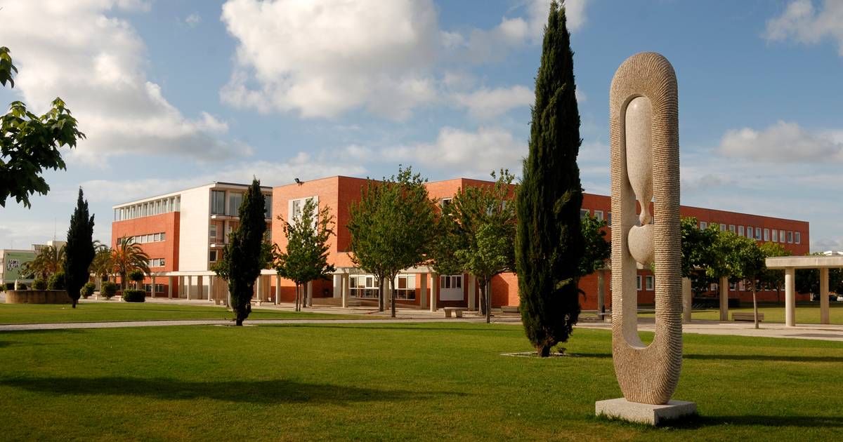 Ensino Superior: Reitor de Aveiro é o novo representante das universidades portuguesas