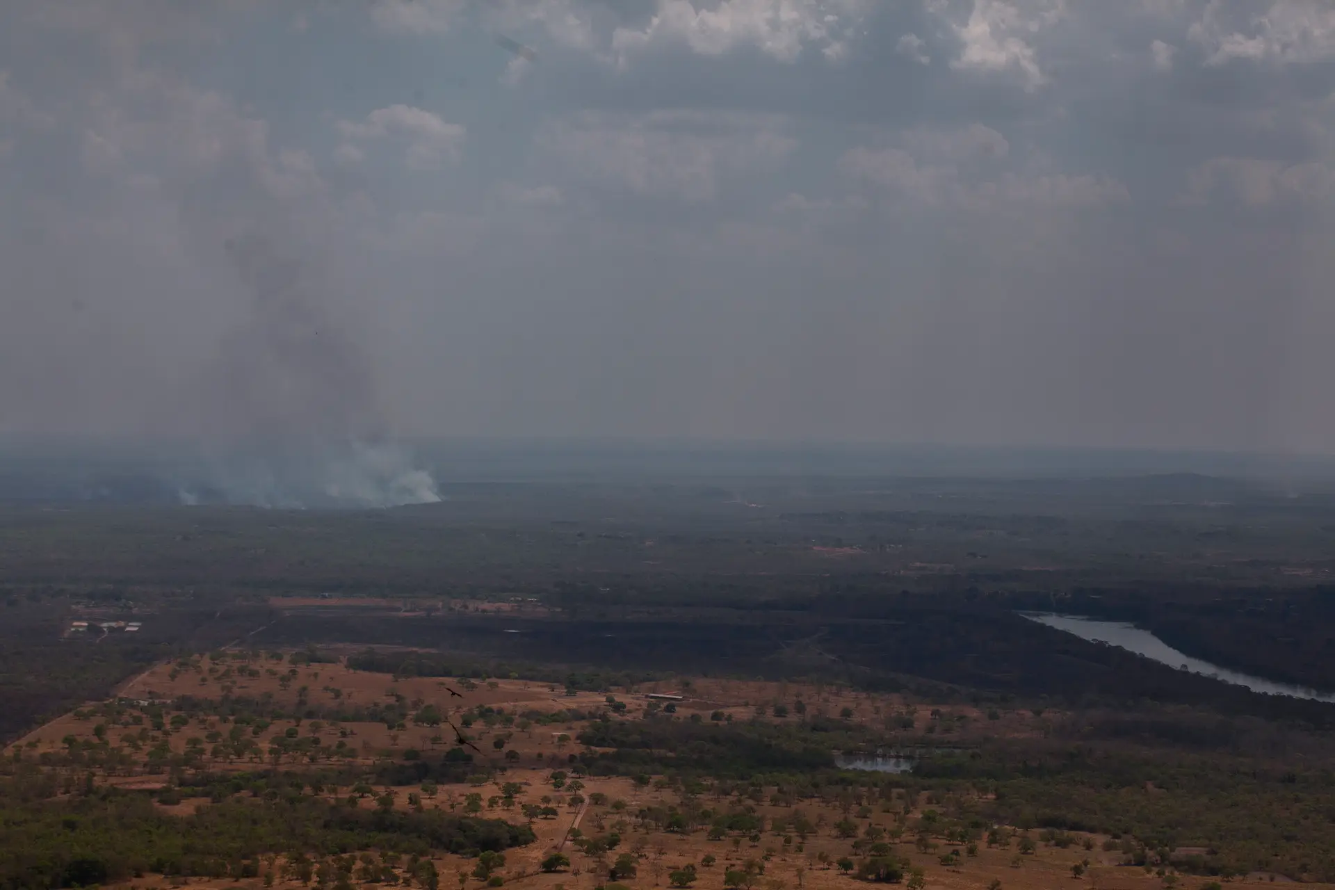 Pantanal brasileiro