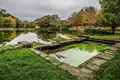 O Porto será mais verde, azul e denso