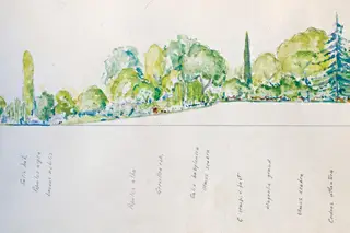 DESENHO “SEMPRE GOSTEI DE DESENHAR PAISAGENS E PENSEI IR PARA BELAS-ARTES. DEPOIS ACHEI QUE ERA UMA GRANDE CHATICE.” PORMENORES DE DESENHOS DE PROJETO CEDIDOS PELO ARQUITETO