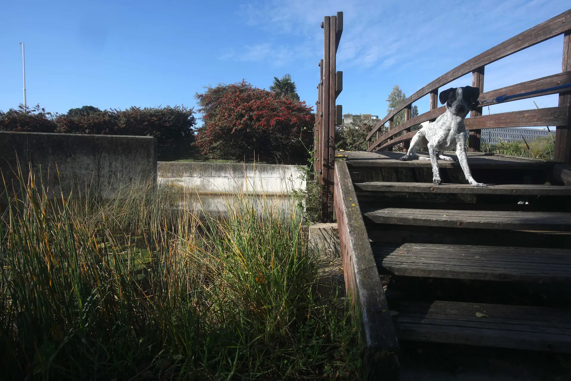 Jardim Amália Rodrigues, Lisboa