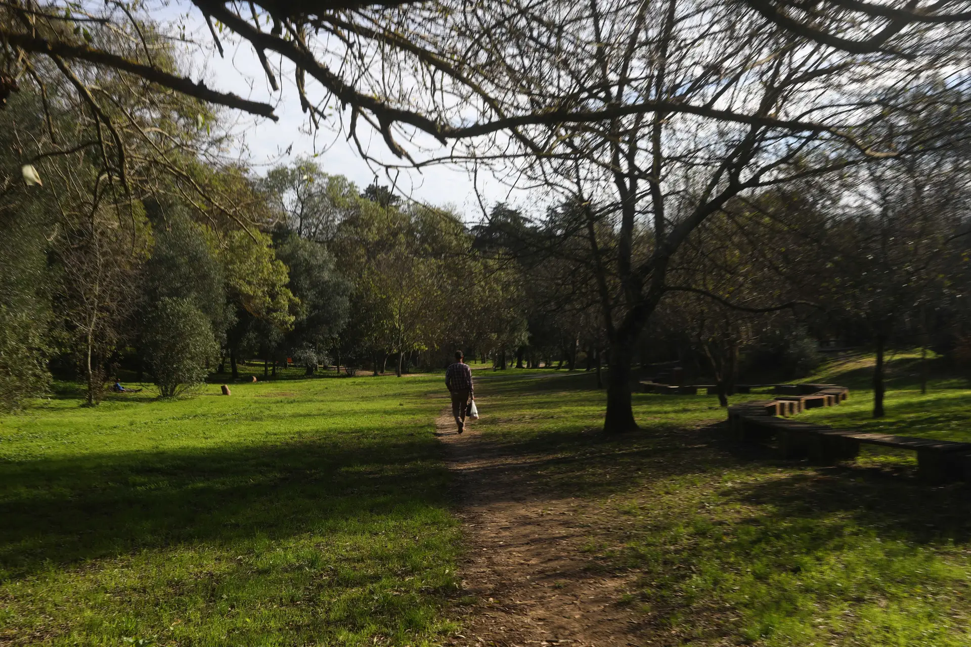 Mata de Alvalade, Lisboa
